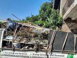 Best Attic Cleanout  in Boise City, OK