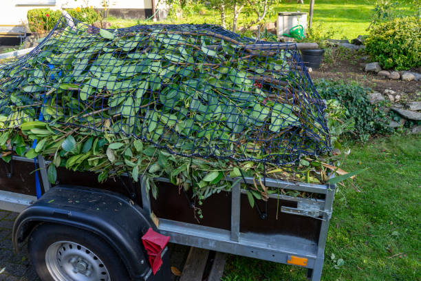 Same-Day Junk Removal Services in Boise City, OK